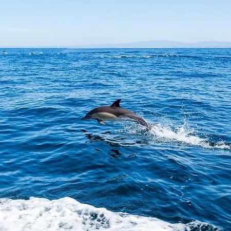 In Downtown - Serenity * 阿尔布费拉