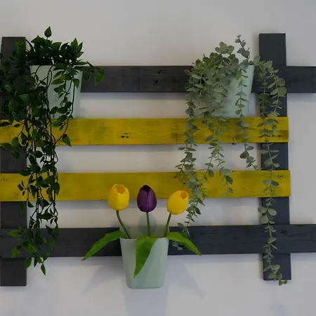 In Downtown - Serenity * 阿尔布费拉