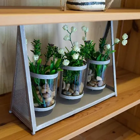 In Downtown - Serenity Albufeira