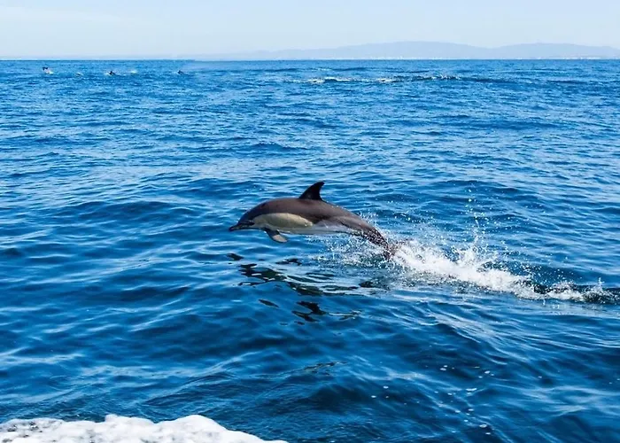 In Downtown - Serenity * Albufeira