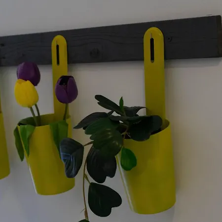 In Downtown - Serenity Albufeira